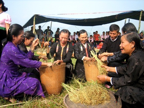 La fête du nouveau riz chez les Thaï - ảnh 1